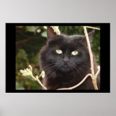 黒檀 ポスター (正面)