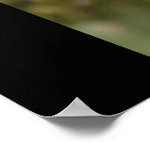 黒檀 ポスター (角)