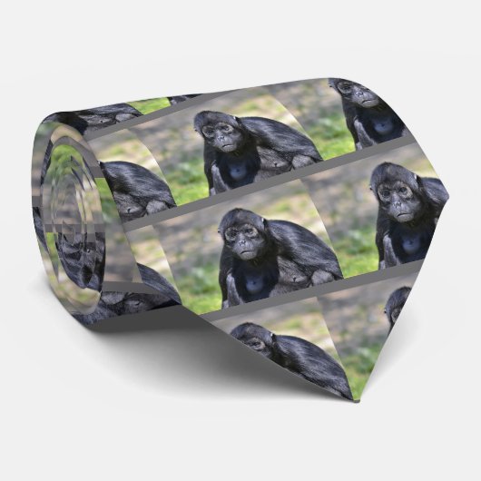 黒毛蜘蛛のモンキーネクタイ ネクタイ (ロール)