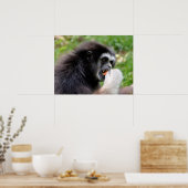 黒毛蜘蛛の猿食べは実だ ポスター (キッチン)