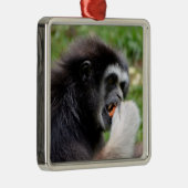 黒毛蜘蛛の猿食べは実だ メタルオーナメント (右)