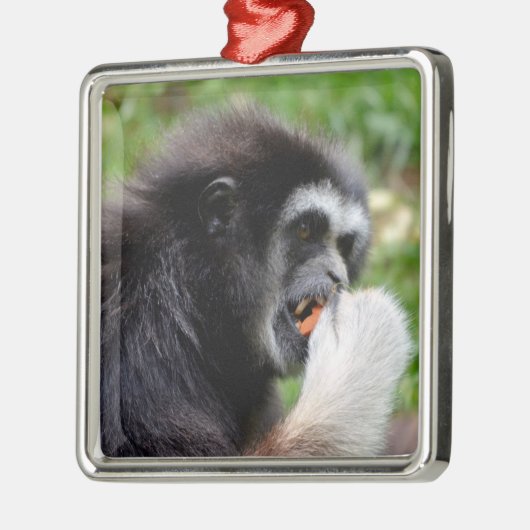 黒毛蜘蛛の猿食べは実だ メタルオーナメント (左)