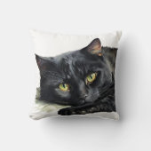 黒水彩猫オンホワイト クッション (正面)