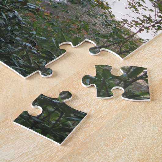 黒水熱の滝、ウェストヴァージニア ジグソーパズル (側面)