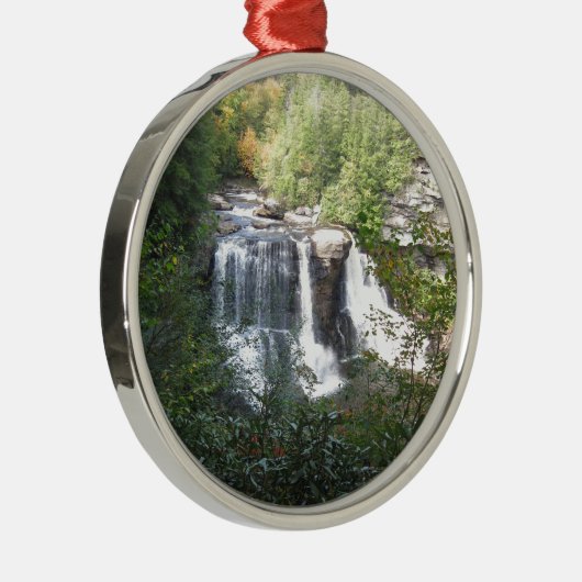 黒水熱の滝、ウェストヴァージニア メタルオーナメント (右)