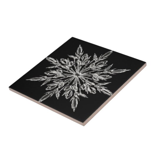 黒氷結晶 タイル (側面)