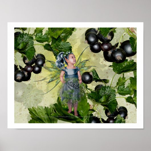 黒流の妖精 ポスター (正面)