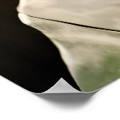 黒烏のポートレート | AIアートポスター ポスター (角)