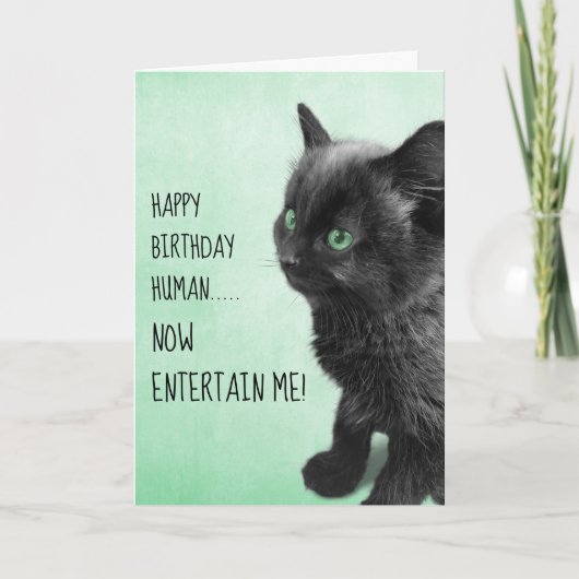 黒煙の子猫 カード (正面)