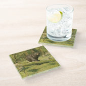 黒熊が木の幹を踏む ガラスコースター (アングル)