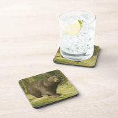 黒熊が木の幹を踏む コースター (右側)