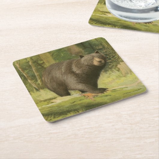 黒熊が木の幹を踏む スクエアペーパーコースター (アングル)