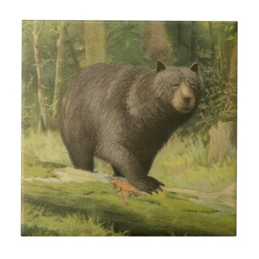 黒熊が木の幹を踏む タイル (正面)