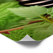 黒熊のゲームプレーヤー ポスター (角)