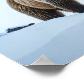 黒熊の冬の景色 ポスター (角)