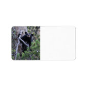 黒熊の子 ラベル (正面)