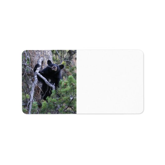 黒熊の子 ラベル (正面)