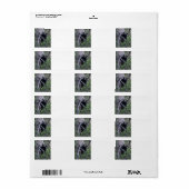 黒熊の子 ラベル (フルシート)