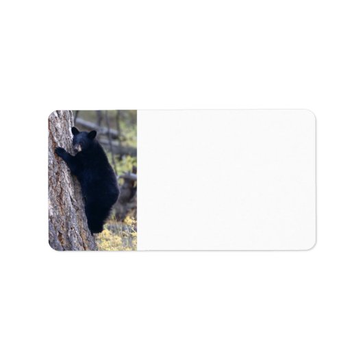 黒熊の子 ラベル (正面)