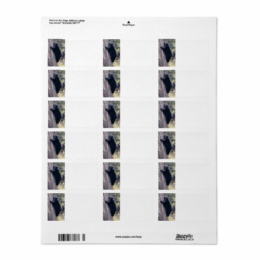 黒熊の子 ラベル (フルシート)