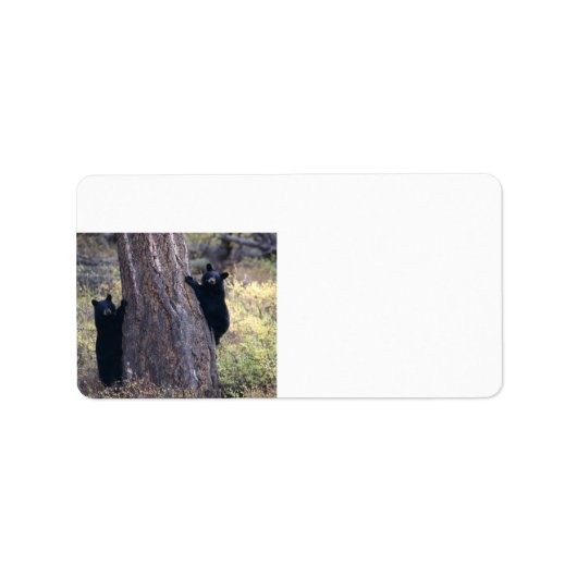 黒熊の子 ラベル (正面)