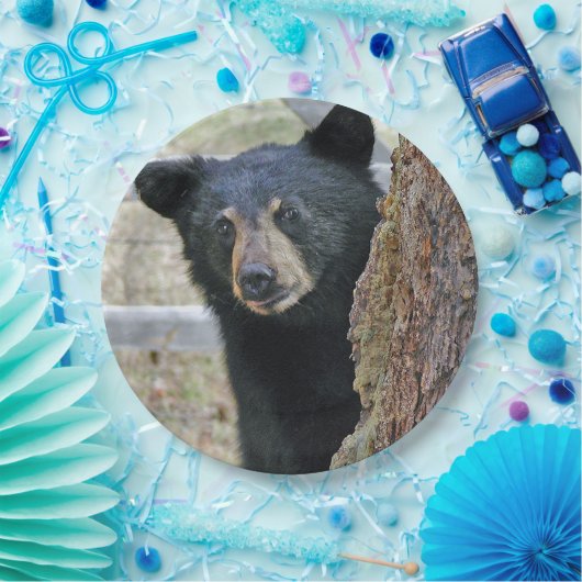 黒熊の木の写真 ペーパープレート (パーティー)