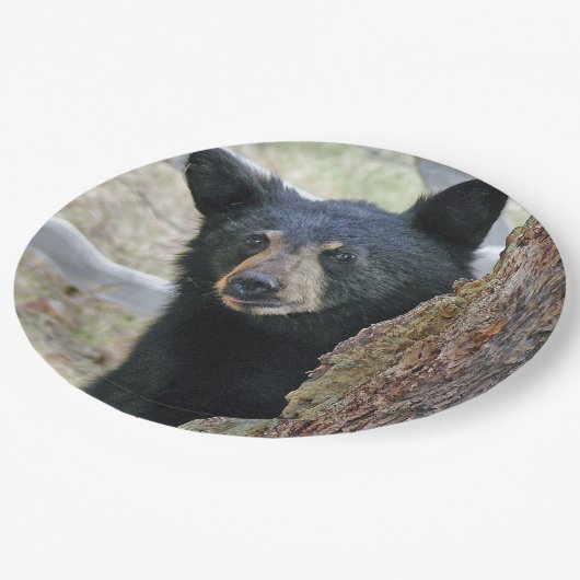 黒熊の木の写真 ペーパープレート (アングル)
