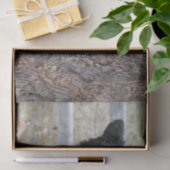 黒熊の木の写真 薄葉紙 (ギフト)