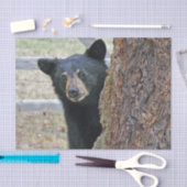 黒熊の木の写真 薄葉紙 (クラフト)