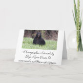 黒熊の野生動物「耐えられない」グリーティングカード カード (裏面)