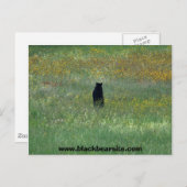 黒熊はがき ポストカード (正面/裏面)