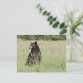 黒熊はがき ポストカード (スタンド正面)