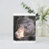 黒熊はがき ポストカード (スタンド正面)