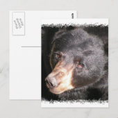 黒熊はがき ポストカード (正面/裏面)