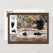 黒熊ギフトハガキ ポストカード (正面/裏面)