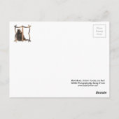 黒熊ギフトハガキ ポストカード (裏面)