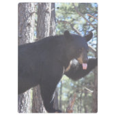 黒熊クリップボード クリップボード (裏面)