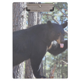 黒熊クリップボード クリップボード