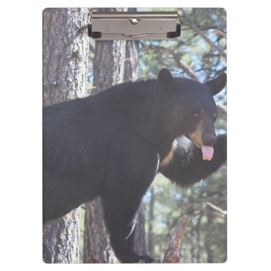 黒熊クリップボード クリップボード (正面)