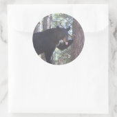 黒熊ステッカー ラウンドシール (バッグ)