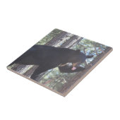 黒熊セラミックタイル タイル (側面)