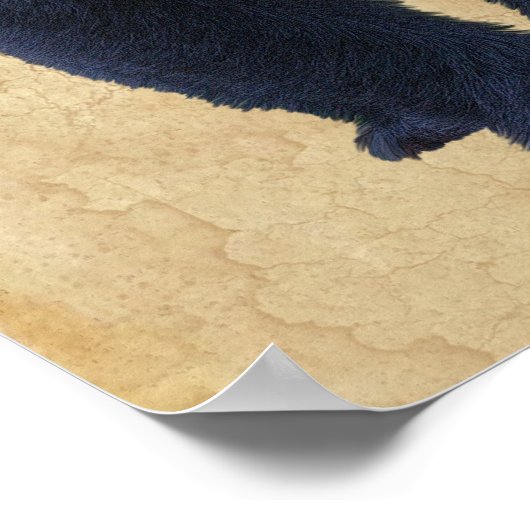 黒熊ワイルドライフアートポスターフェイクw-Parchment BG ポスター (角)