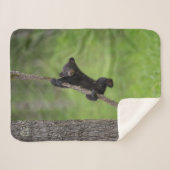 黒熊遊の木の枝 シェルパブランケット (正面(横))