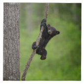 黒熊遊の木の枝 タイル (正面)