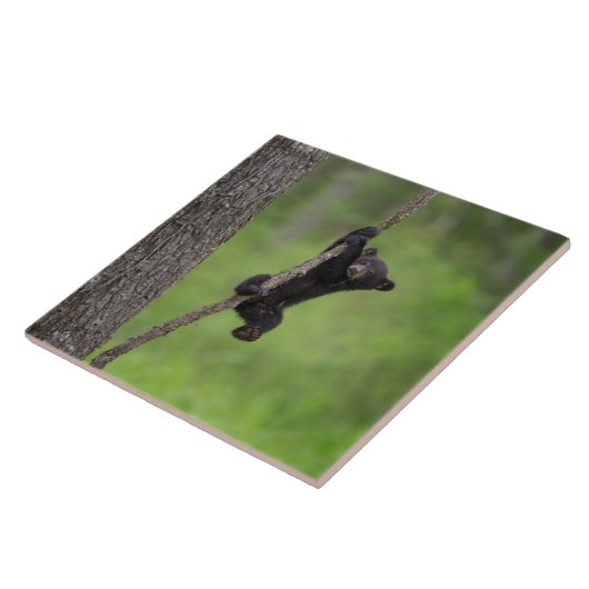 黒熊遊の木の枝 タイル (側面)