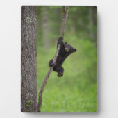 黒熊遊の木の枝 フォトプラーク (正面)
