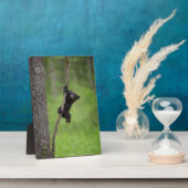 黒熊遊の木の枝 フォトプラーク (側面)