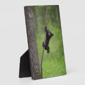黒熊遊の木の枝 フォトプラーク (側面)