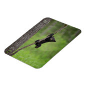 黒熊遊の木の枝 マグネット (左側)