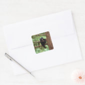 黒熊、アメリカアカネ、木に生えた子熊 スクエアシール (封筒)